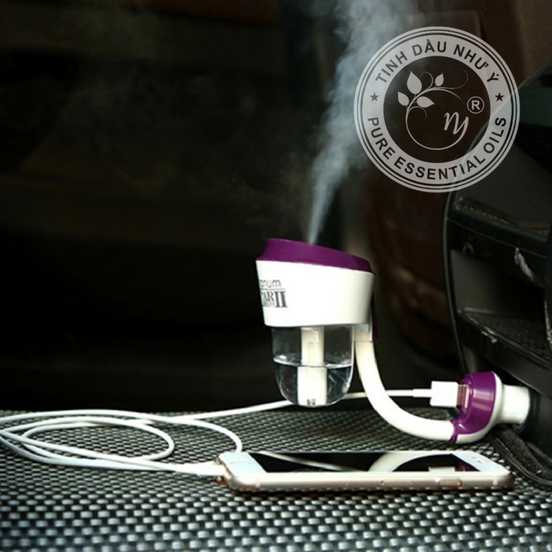 Tinh Dầu Như Ý